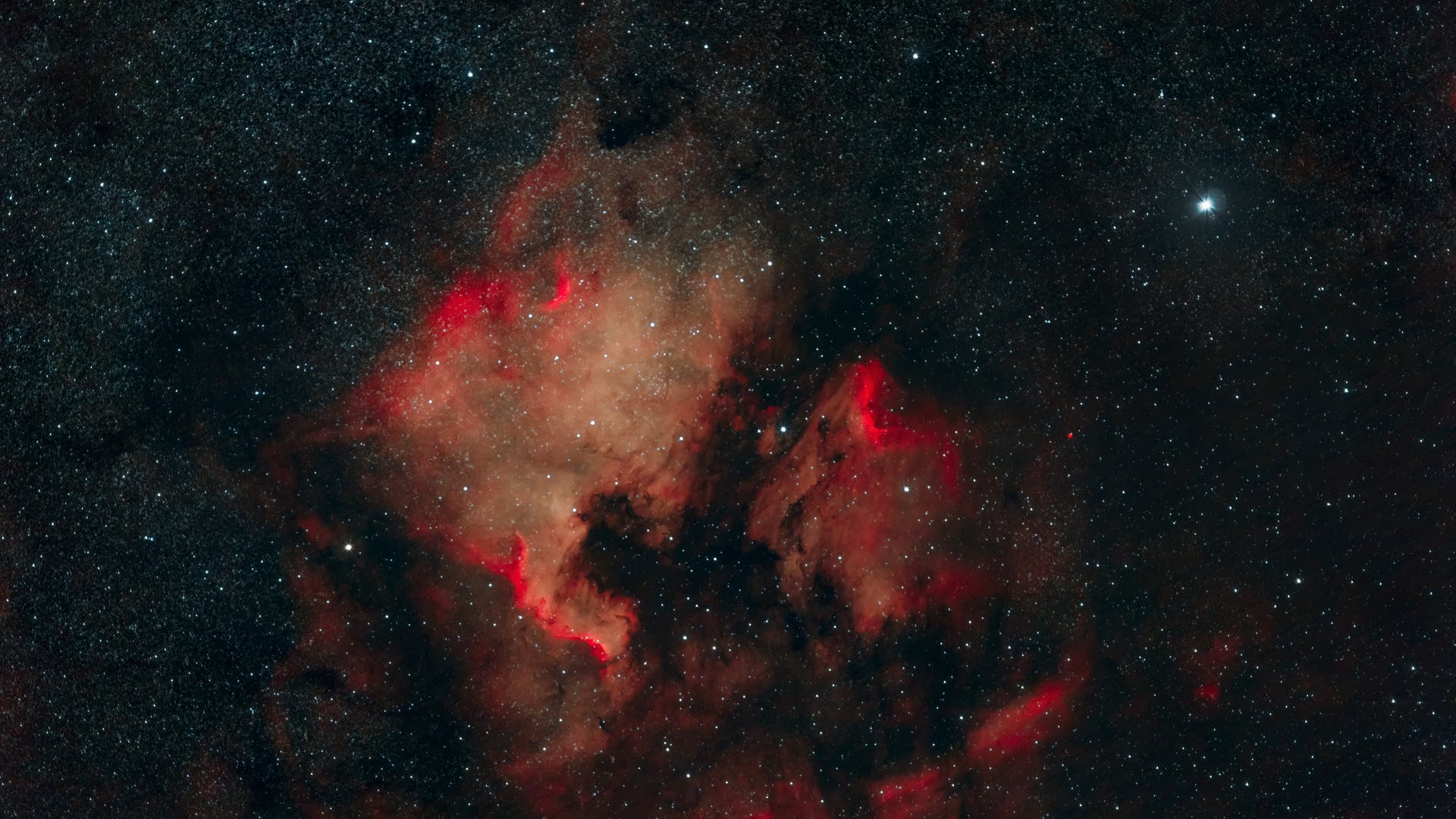 NGC 7000 & IC 5070 in Cygnus Spektrum der Wissenschaft